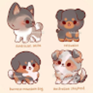 Meet your Posher, Ana